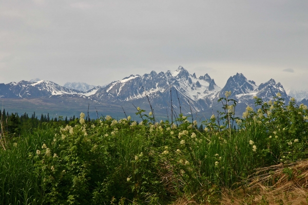 Click here to view Alaska Mountains by  Tom Borgal Photography