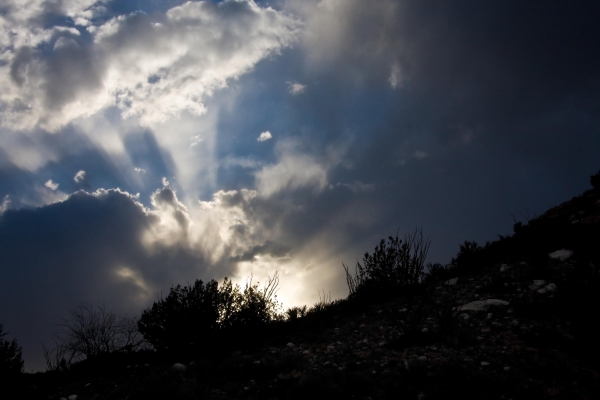 Sun Rays by Tom Borgal Photography