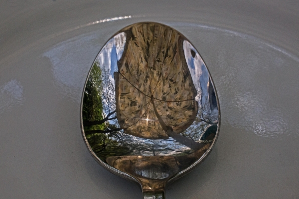 Umbrella in a Spoon by Tom Borgal Photography