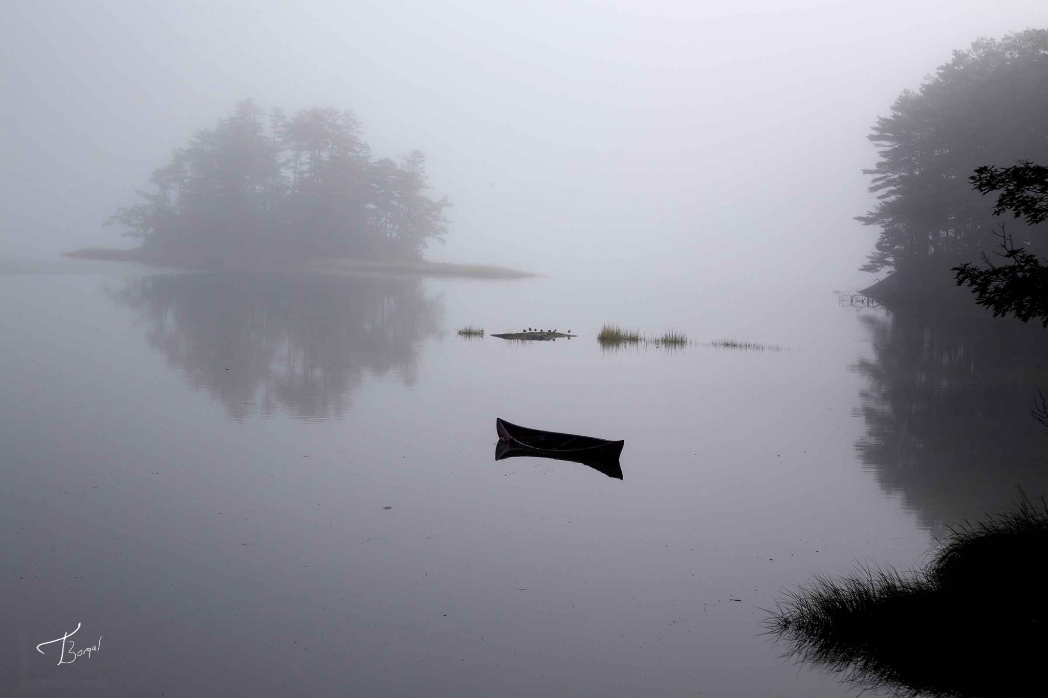 Click here to view Reflections in the Fog by  Tom Borgal Photography