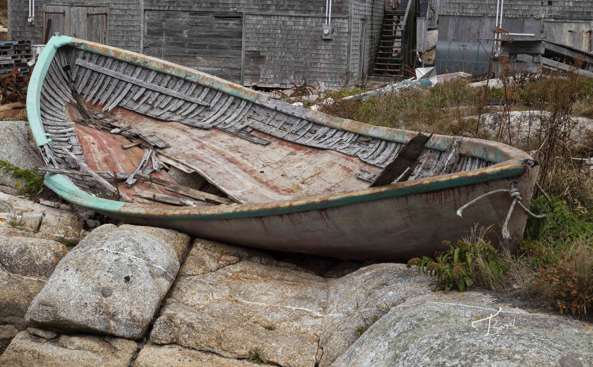 Click here to view Neglected by  Tom Borgal Photography