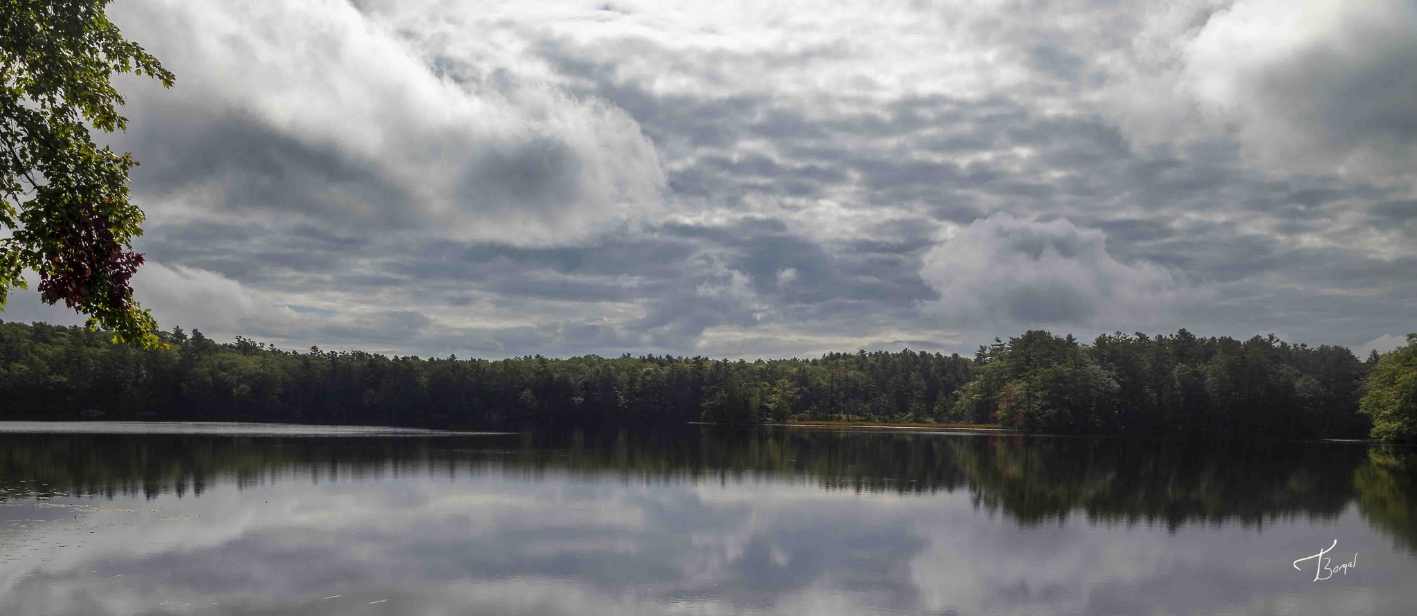 Click here to view Angry Sky Over Webber Pond by  Tom Borgal Photography
